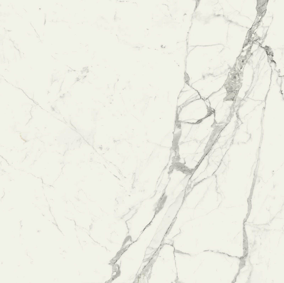 Керамограніт Marazzi Grande Marble Look Statuario 120×120