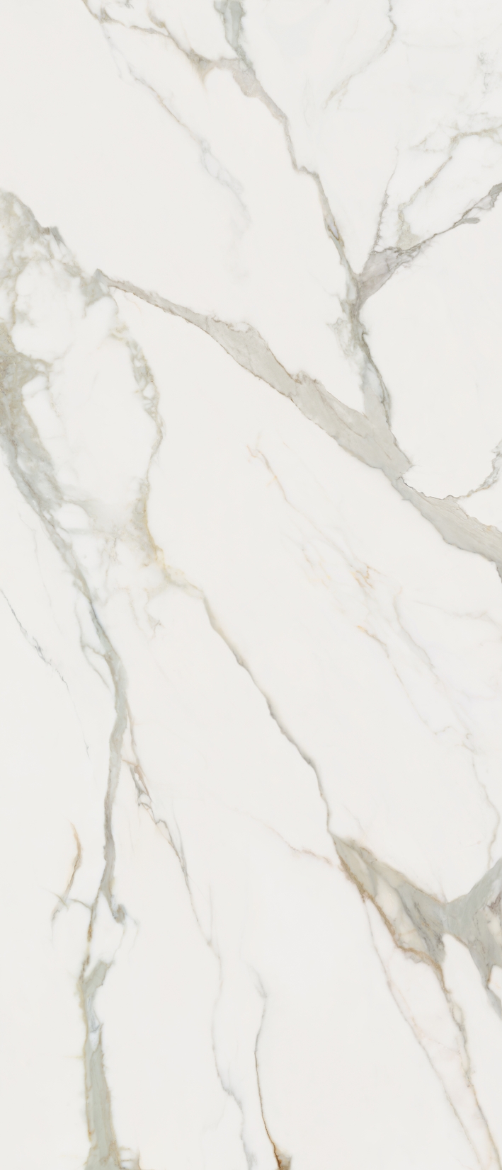 Керамограніт Lea Ceramiche Slimtech Noblesse Calacatta Prestige Touch 120×278