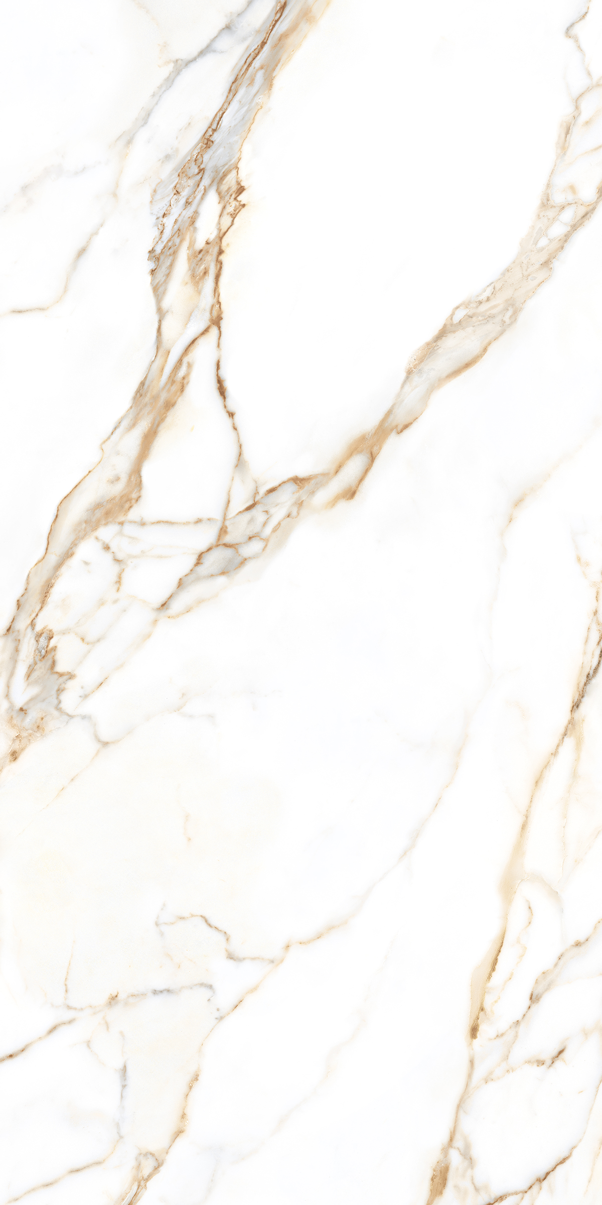Керамограніт Tagina Calacatta Gold Luc 60×120