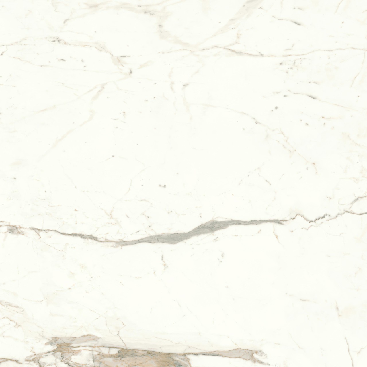 Керамограніт Atlas Concorde Marvel Shine Calacatta Prestigio Matte 120×120