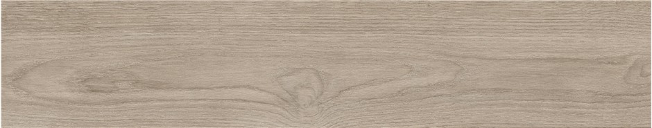 Керамограніт KTL Haspe Abedul 23×120