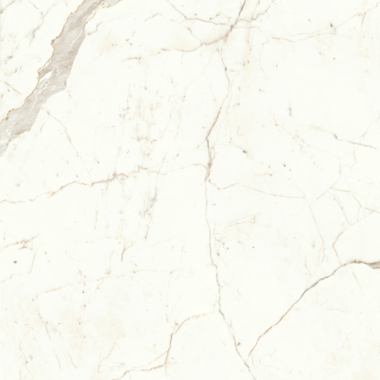 Керамограніт Atlas Concorde Marvel Shine Calacatta Prestigio Lappato 120×120
