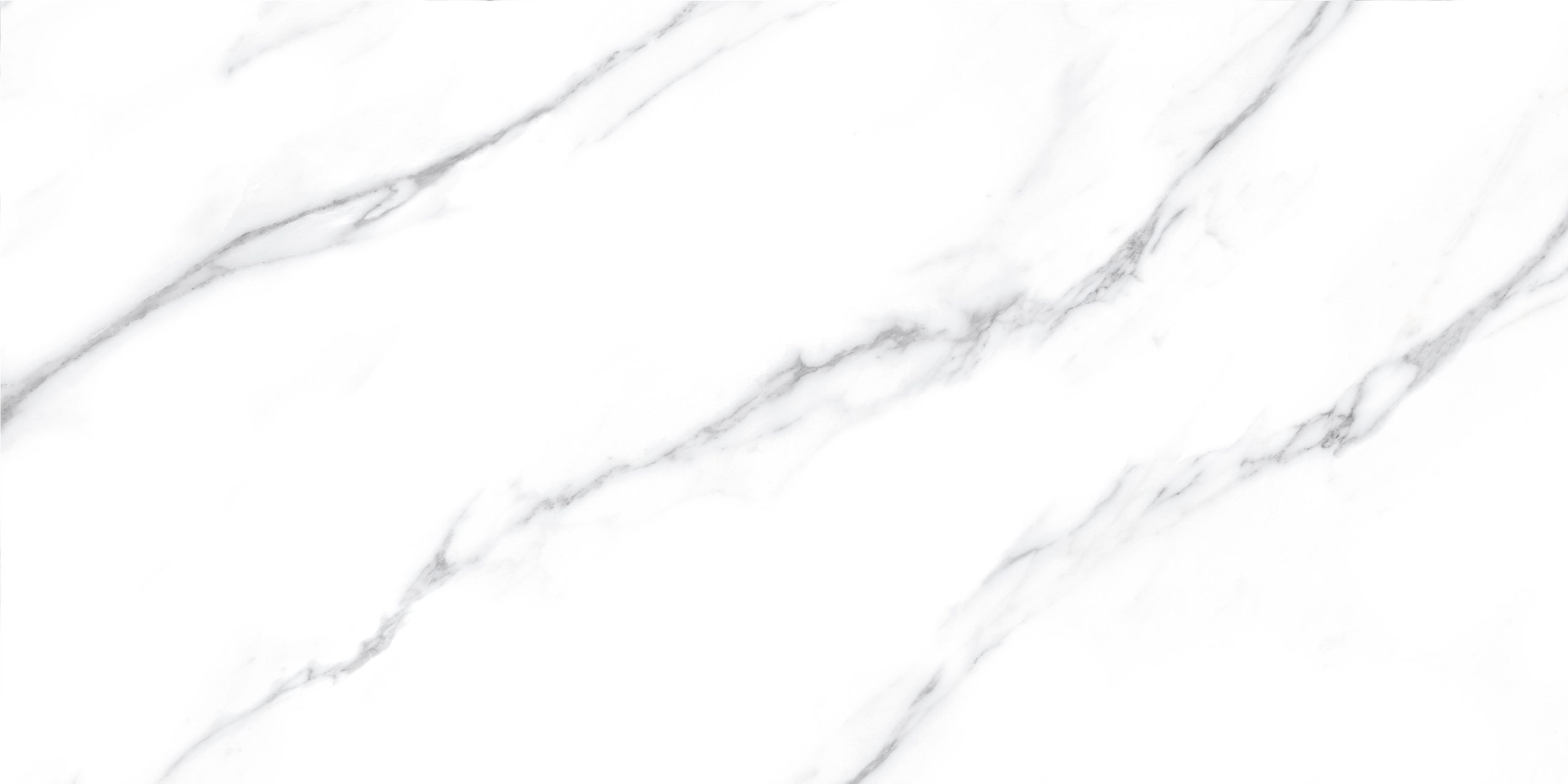 Керамограніт Fanal Carrara 60×120